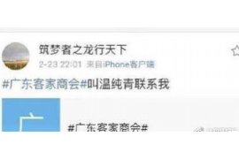 临泽债务清欠服务